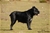 Ch. GALADRIEL DEL ROSSO MALPELO - Triola Cane Corso